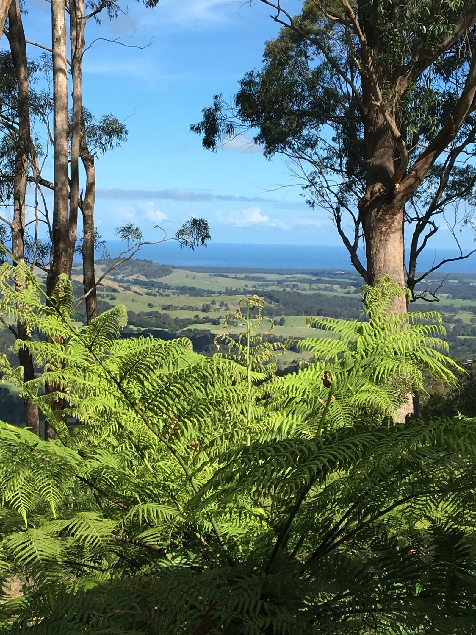 Woodhill NSW Accommodation Melbourne