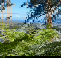 Escarpment - Accommodation Melbourne