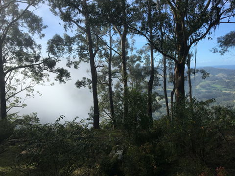 Escarpment - Accommodation Melbourne 2