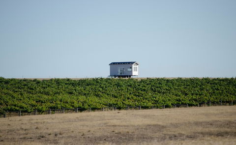 Hounds Run Vineyard - Accommodation Melbourne 0