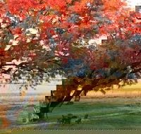 Little Kickabell Country Homestead - Accommodation Melbourne