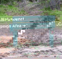 Nal-a-wort Campground - Canunda National Park - Accommodation Melbourne