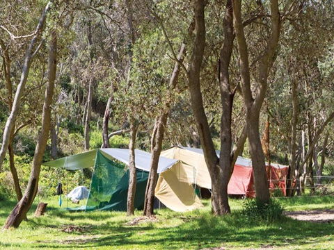 Pebbly Beach Campground - Yuraygir National Park - Melbourne 4u 1