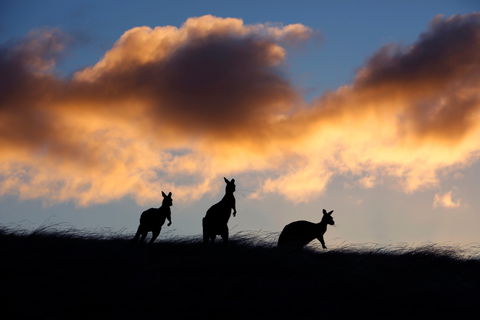 Sky House LifeTime Private Retreats - Accommodation Melbourne 1