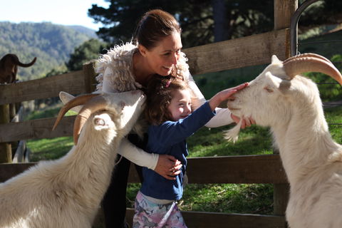 Valley View Nature Retreat - Accommodation Melbourne 1