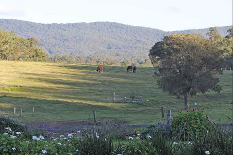 Wallaby Cottage - Accommodation Melbourne 0