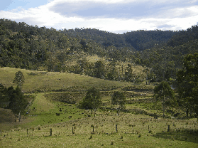 Yasuragi Cabins - Accommodation Melbourne