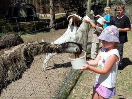 Bairnsdale Holiday Park - Accommodation Melbourne 2