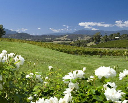 Balgownie Estate Vineyard Resort And Spa - Accommodation Melbourne 0