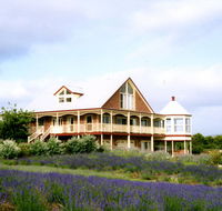 Serendipity Lavender Farm - Accommodation Melbourne