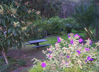 Sunway Farm B And B And Tours - Accommodation Melbourne 2