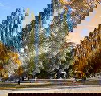 Omeo Caravan Park - Accommodation Melbourne