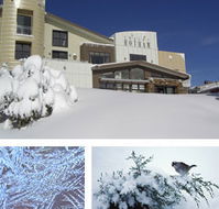 Chalet Hotham - Accommodation Melbourne