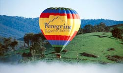 Yarra Valley Motel - Accommodation Melbourne 5