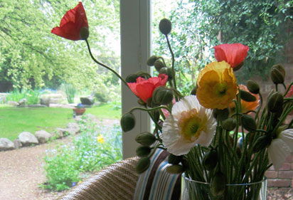 Farmers Arms Retreat - Accommodation Melbourne 1