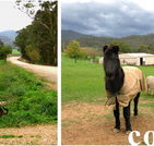 Emerald Park Holiday Farm - Accommodation Melbourne