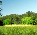 Waterholes Guest House - Accommodation Melbourne