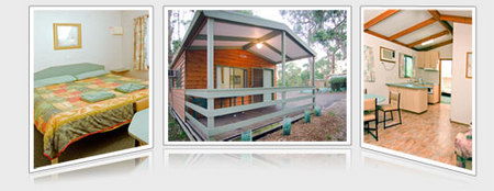 A Maze N Things Holiday Park - Accommodation Melbourne 5