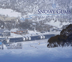 Snowy Gums Chalet - Accommodation Melbourne