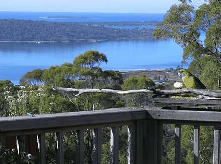 Bed in the Treetops - Accommodation Melbourne