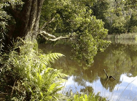 Weldborough Hotel - Accommodation Melbourne