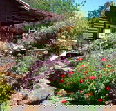 Chestnut Brook Cottage - Accommodation Melbourne