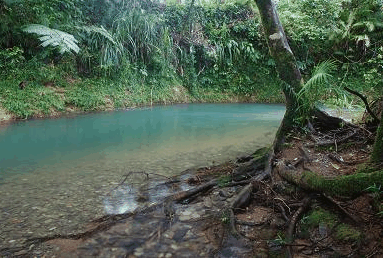 Diwan QLD Accommodation Melbourne