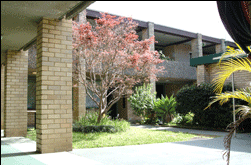 Amg Ryde Sydney - Accommodation Melbourne