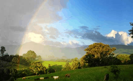 Nimbin Rox YHA - Accommodation Melbourne 3