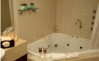 Club Motor Inn - Accommodation Melbourne 1