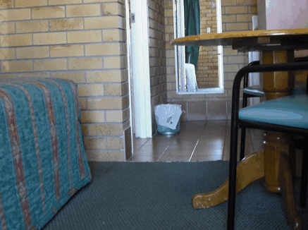 Dragon  Phoenix Motel - Accommodation Melbourne