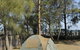 Bells Caravan Park - thumb 5