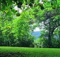 Misty Mountain Retreat - Accommodation Melbourne