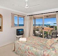 Allez Pacific Rose - Accommodation Melbourne