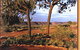 Kings Creek Station - thumb 1