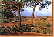 Kings Creek Station - Accommodation Melbourne 1