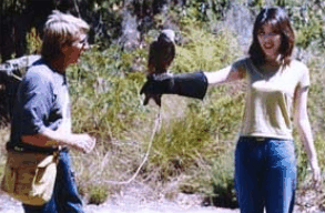 Eagles Heritage Raptor Wildlife Centre - Accommodation Melbourne 2