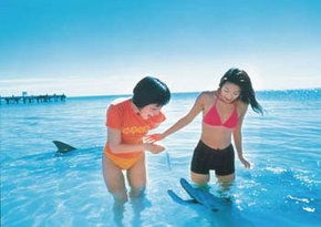  Accommodation Melbourne