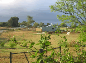 The House Of Honey - Accommodation Melbourne 2