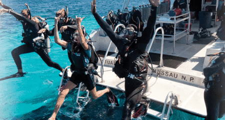 Snorkel Safari Brisbane - Accommodation Melbourne