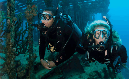 Snorkel Safari Brisbane - Accommodation Melbourne 2