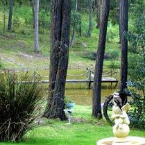 Gain Life Healing Health Retreat - Accommodation Melbourne 2