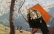 Gilligan Grant Gallery - thumb 3