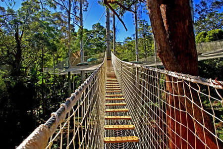Mount Tamborine QLD Accommodation Melbourne