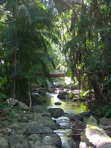 Thunderbird Park - Accommodation Melbourne 2