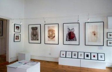 Bird's Gallery - Accommodation Melbourne 1