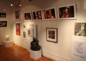 Bird's Gallery - Accommodation Melbourne 2