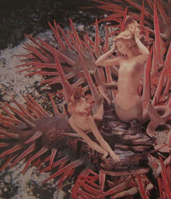 Bower Gallery - Accommodation Melbourne 1