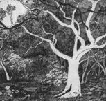 Tacit Contemporary Art - Accommodation Melbourne