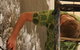 Tinning Street Gallery - thumb 3